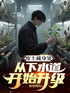 废土藏身处，从下水道开始升级